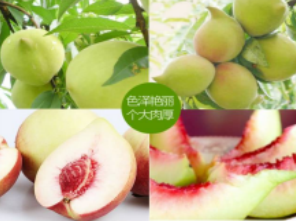 河源·连平上坪一年一度“桃”醉盛夏鹰嘴桃节两天游