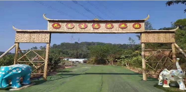 深圳 九龙生态园野炊、休闲拓展一天游
