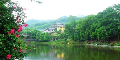 深圳 老虎沟团建、丛林CS野战、农家乐一日游