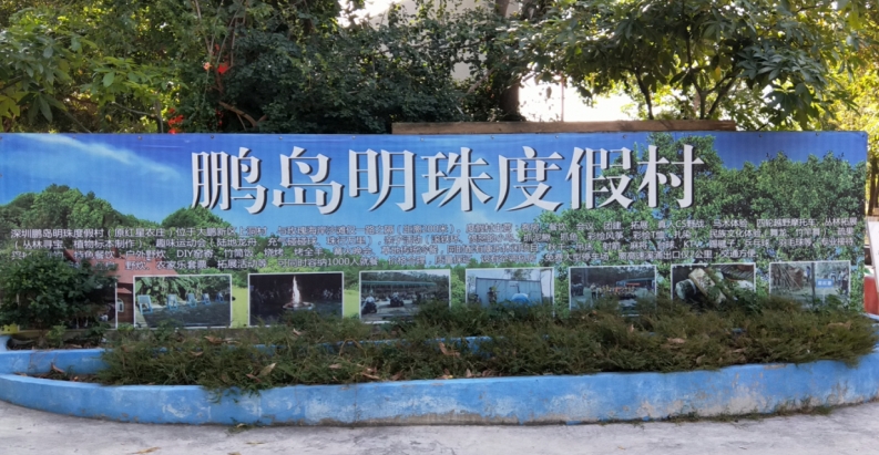 深圳 鹏岛明珠趣味活动活动、纯玩休闲一天游