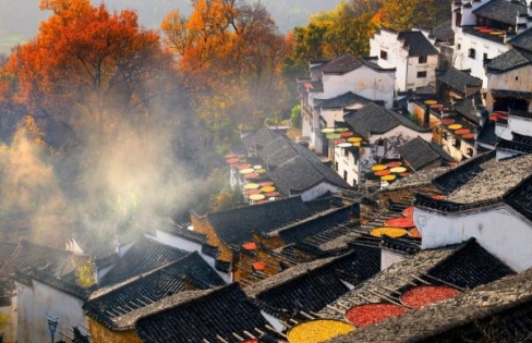 江西 婺源 庐山 景德镇 鄱阳湖 秋色篁岭四天游